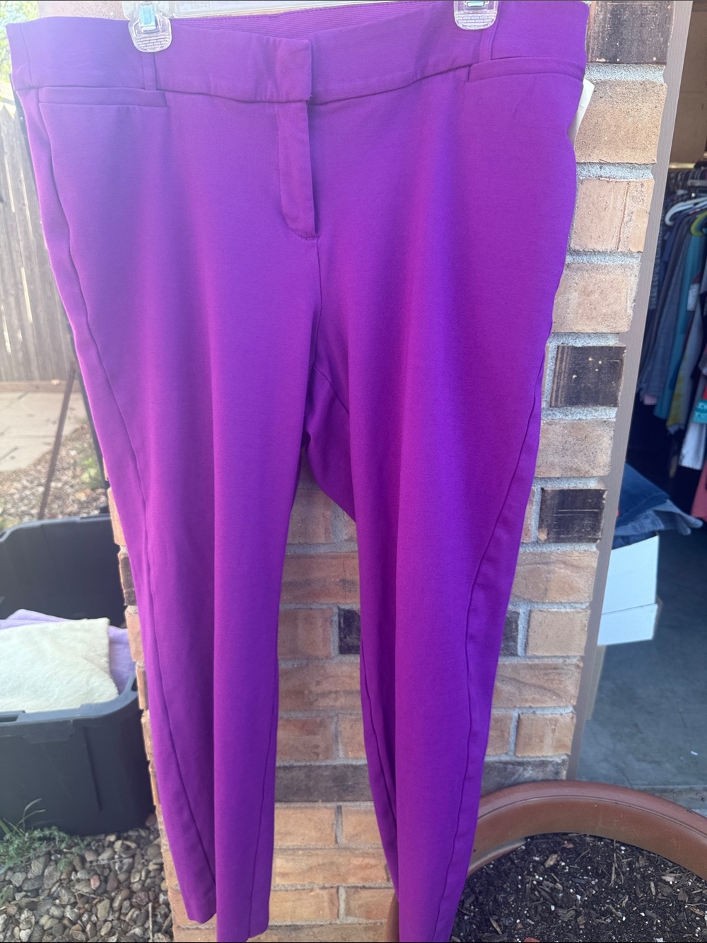 Lane Bryant Vibrant Purple Ponte Slim Ankle Pants